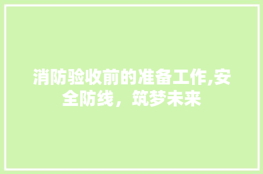 消防验收前的准备工作,安全防线，筑梦未来