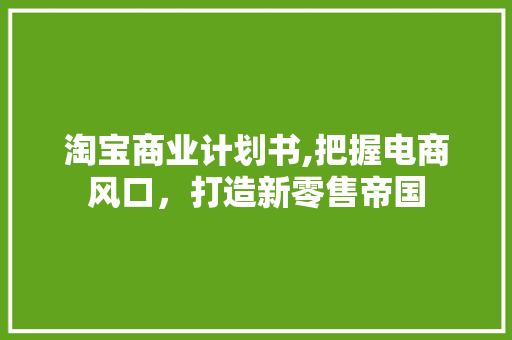 淘宝商业计划书,把握电商风口，打造新零售帝国