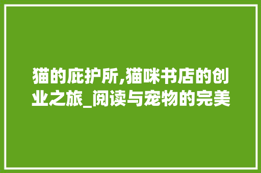 猫的庇护所,猫咪书店的创业之旅_阅读与宠物的完美融合