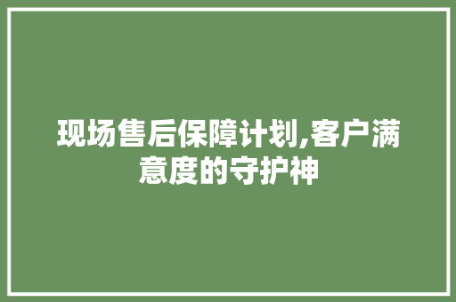 现场售后保障计划,客户满意度的守护神
