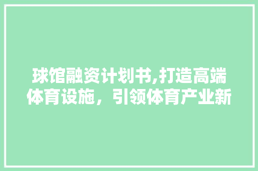 球馆融资计划书,打造高端体育设施，引领体育产业新潮流