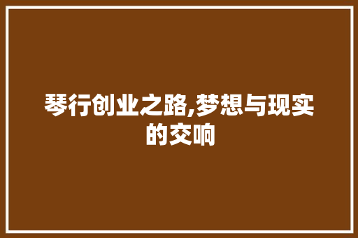 琴行创业之路,梦想与现实的交响