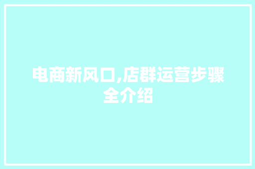 电商新风口,店群运营步骤全介绍