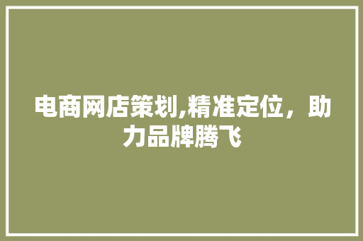 电商网店策划,精准定位，助力品牌腾飞