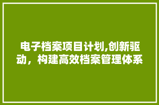 电子档案项目计划,创新驱动，构建高效档案管理体系