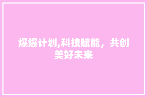 爆爆计划,科技赋能，共创美好未来