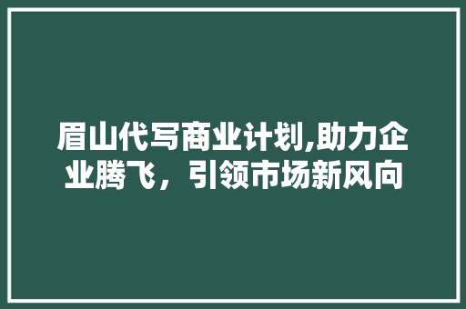 眉山代写商业计划,助力企业腾飞，引领市场新风向