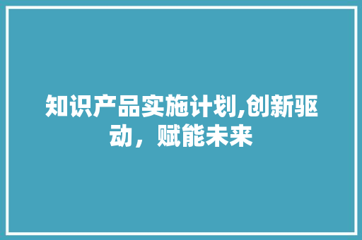 知识产品实施计划,创新驱动，赋能未来