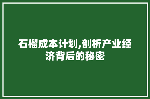 石榴成本计划,剖析产业经济背后的秘密