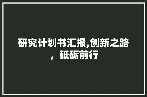 研究计划书汇报,创新之路，砥砺前行