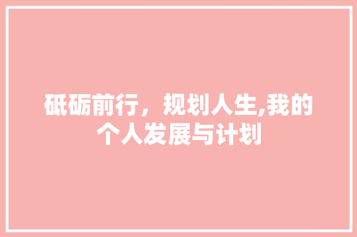 砥砺前行，规划人生,我的个人发展与计划