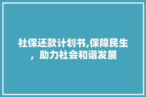社保还款计划书,保障民生，助力社会和谐发展