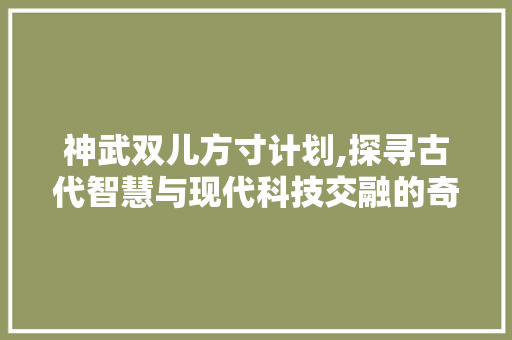 神武双儿方寸计划,探寻古代智慧与现代科技交融的奇迹