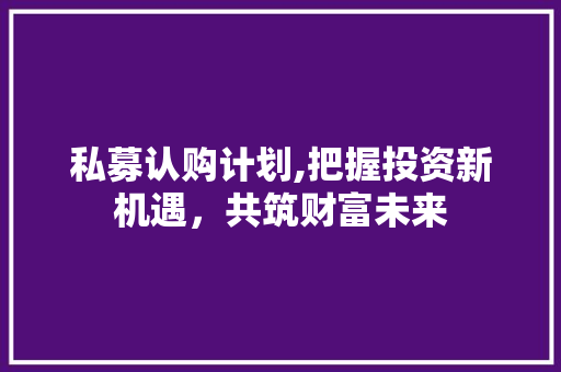 私募认购计划,把握投资新机遇，共筑财富未来