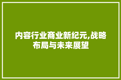 内容行业商业新纪元,战略布局与未来展望