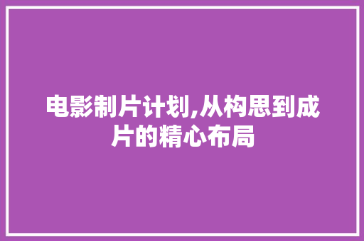 电影制片计划,从构思到成片的精心布局