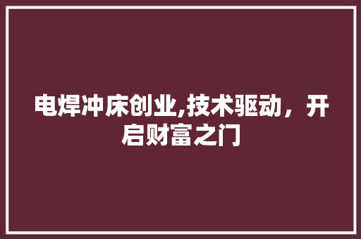 电焊冲床创业,技术驱动，开启财富之门
