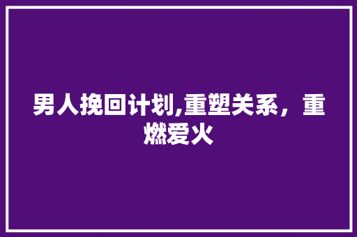 男人挽回计划,重塑关系，重燃爱火