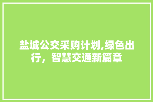 盐城公交采购计划,绿色出行，智慧交通新篇章
