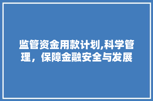 监管资金用款计划,科学管理，保障金融安全与发展
