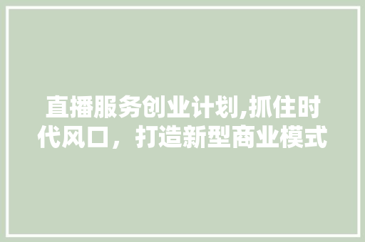 直播服务创业计划,抓住时代风口，打造新型商业模式