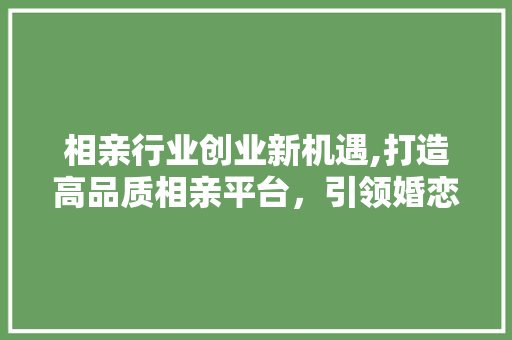 相亲行业创业新机遇,打造高品质相亲平台，引领婚恋市场新潮流