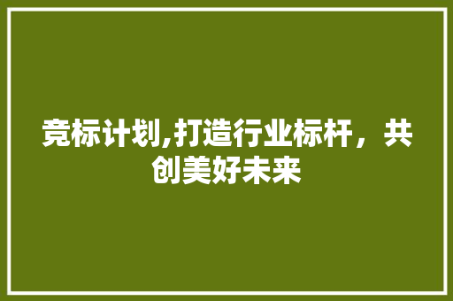 竞标计划,打造行业标杆，共创美好未来
