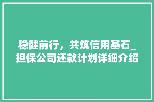 稳健前行，共筑信用基石_担保公司还款计划详细介绍