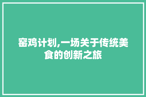 窑鸡计划,一场关于传统美食的创新之旅