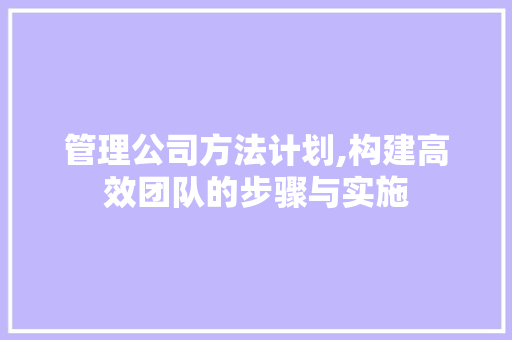 管理公司方法计划,构建高效团队的步骤与实施