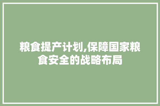 粮食提产计划,保障国家粮食安全的战略布局