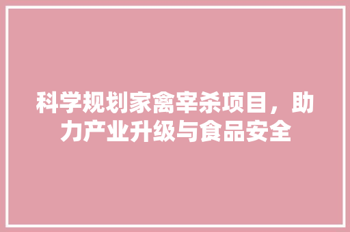 科学规划家禽宰杀项目，助力产业升级与食品安全