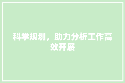 科学规划，助力分析工作高效开展