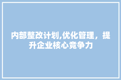 内部整改计划,优化管理，提升企业核心竞争力