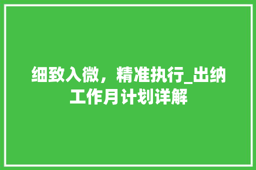 细致入微，精准执行_出纳工作月计划详解