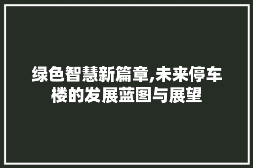 绿色智慧新篇章,未来停车楼的发展蓝图与展望