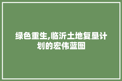 绿色重生,临沂土地复垦计划的宏伟蓝图