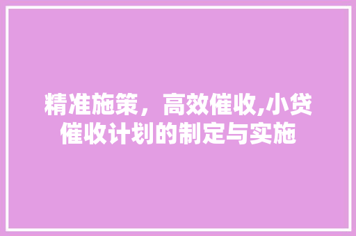 精准施策，高效催收,小贷催收计划的制定与实施