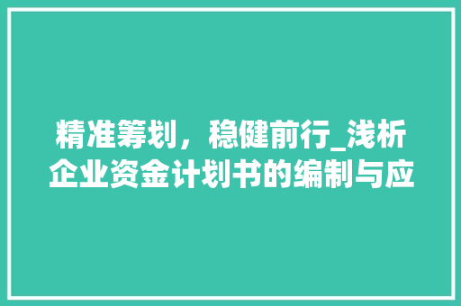 精准筹划，稳健前行_浅析企业资金计划书的编制与应用