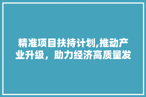 精准项目扶持计划,推动产业升级，助力经济高质量发展