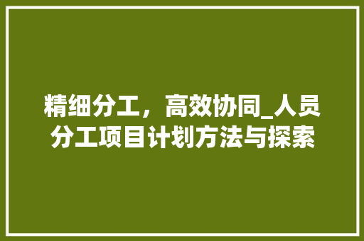 精细分工，高效协同_人员分工项目计划方法与探索