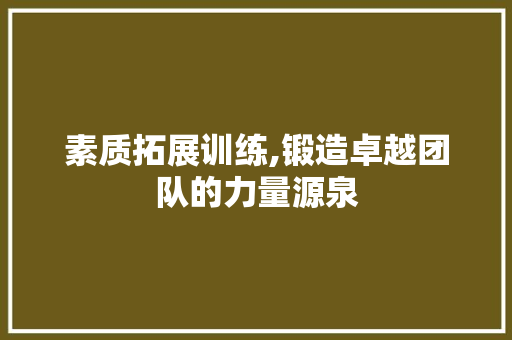 素质拓展训练,锻造卓越团队的力量源泉