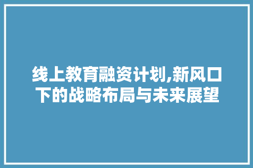 线上教育融资计划,新风口下的战略布局与未来展望