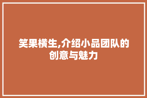 笑果横生,介绍小品团队的创意与魅力