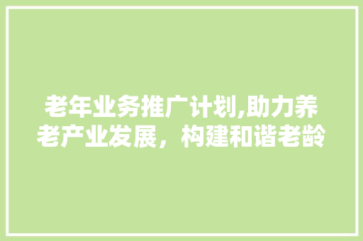 老年业务推广计划,助力养老产业发展，构建和谐老龄化社会