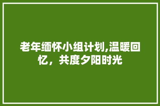老年缅怀小组计划,温暖回忆，共度夕阳时光