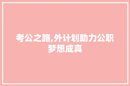 考公之路,外计划助力公职梦想成真
