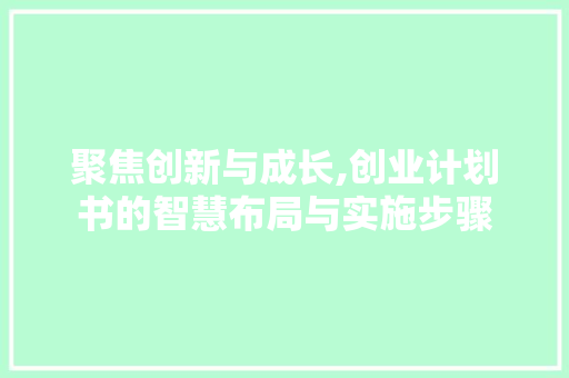 聚焦创新与成长,创业计划书的智慧布局与实施步骤