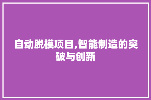 自动脱模项目,智能制造的突破与创新