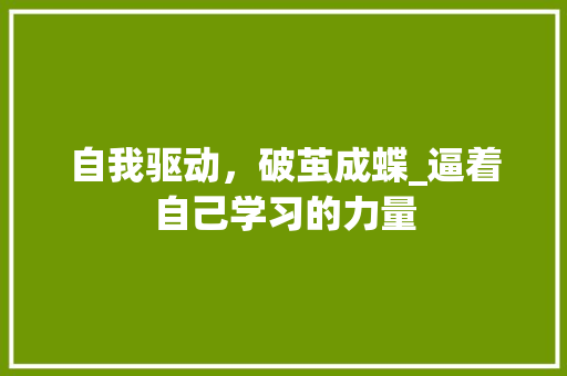 自我驱动，破茧成蝶_逼着自己学习的力量